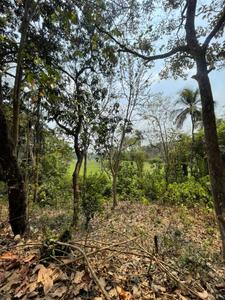 Image of 525 Sq.ft Residential Plot / Land for sale in Tivim, Goa for Rs. 16800000