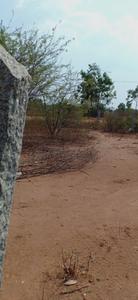 Image of 303 Sq.ft Residential Plot / Land for sale in Bheemaram, Warangal for Rs. 6200000