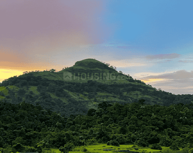 Ascenta Basalt Hills Plot View 3