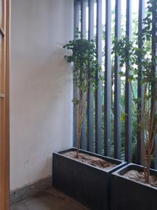 Living Room Image of 5475 Sq.ft 5 BHK Apartment / Flat for sale in County 107, Sector 107 Noida for Rs. 158000000