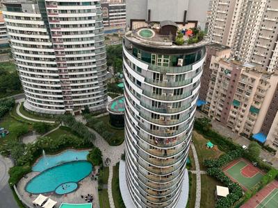 Image of 983 Sq.ft 2 BHK Apartment / Flat for rent in Amrapali Eden Park, Sector 50, Noida for Rs. 41000