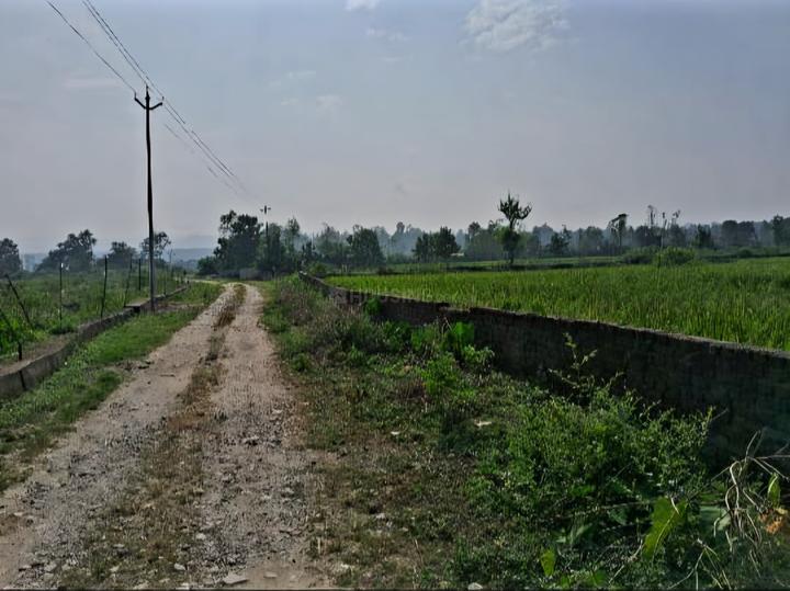 Doiwala Main Image 1