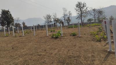 Image of 2960 Sq.ft Residential Plot / Land for sale in Karjat, Thane for Rs. 3556000