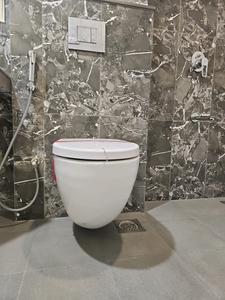 Common Bathroom Image of 700 Sq.ft 1 BHK Apartment / Flat for rent in Duville Riverdale Heights, Kharadi Pune for Rs. 32000