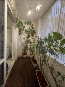 Balcony Image of 1678 Sq.ft 3 BHK Apartment / Flat for rent in Rohan Avriti, K R Puram Bengaluru for Rs. 95000