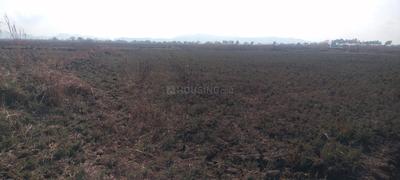 Image of 1089 Sq.ft Residential Plot / Land for sale in Hamarapur, Raigad for Rs. 260000