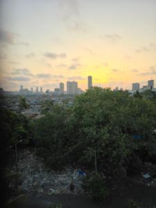 Balcony Image of 542 Sq.ft 1 BHK Apartment / Flat for sale in Shyam Gokul Garden, Kandivali East Mumbai for Rs. 12500000