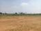 Thimmapur Plot View 2