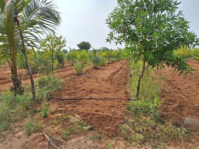 Image of 300 Sq.ft Residential Plot / Land for sale in Narayankhed, Sangareddy for Rs. 330000
