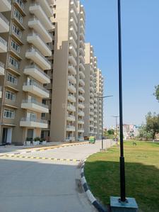Image of 800 Sq.ft 3 BHK Apartment / Flat for rent in Vashisth Heights, Sector 87, Faridabad for Rs. 15000