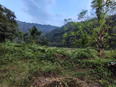 Image of 5280 Sq.ft Residential Plot / Land for sale in Kalimpong Khasmahal, Kalimpong for Rs. 2600000