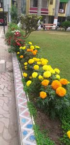 Image of 1290 Sq.ft 3 BHK Apartment / Flat for sale in Narendrapur, Kolkata for Rs. 4800000