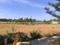 Om Sri pristine Plot View 2