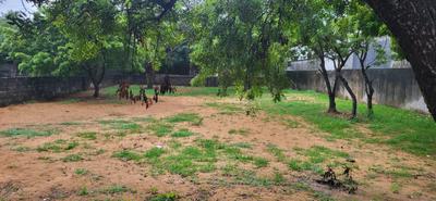 Image of 10922 Sq.ft Residential Plot / Land for sale in Injambakkam, Chennai for Rs. 175200000