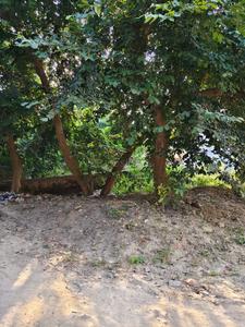 Image of 2475 Sq.ft Residential Plot / Land for sale in Ashiyana, Lucknow for Rs. 20500000