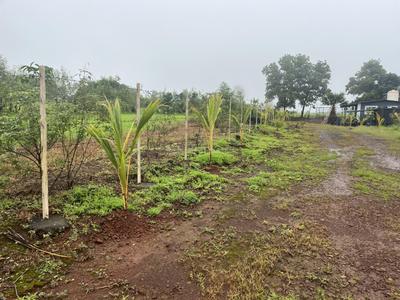 Image of 11200 Sq.ft Residential Plot / Land for sale in Murbad, Thane for Rs. 2075000