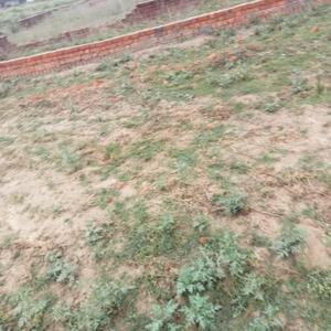 Image of 1000 Sq.ft Residential Plot / Land for sale in Gomti Nagar, Lucknow for Rs. 1899000
