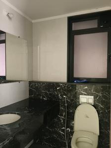 Common Bathroom Image of 3000 Sq.ft 4 BHK Apartment / Flat for rent in Lodha Palava Serenity, Palava Phase 2 Thane for Rs. 80000
