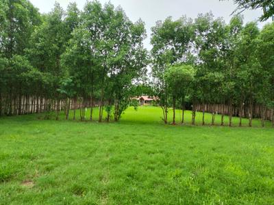 Chhabasar Plot View 2