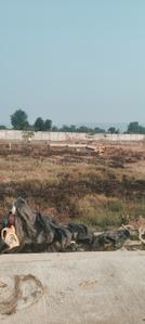 Image of 1000 Sq.ft Residential Plot / Land for sale in Bilhari, Jabalpur for Rs. 900000