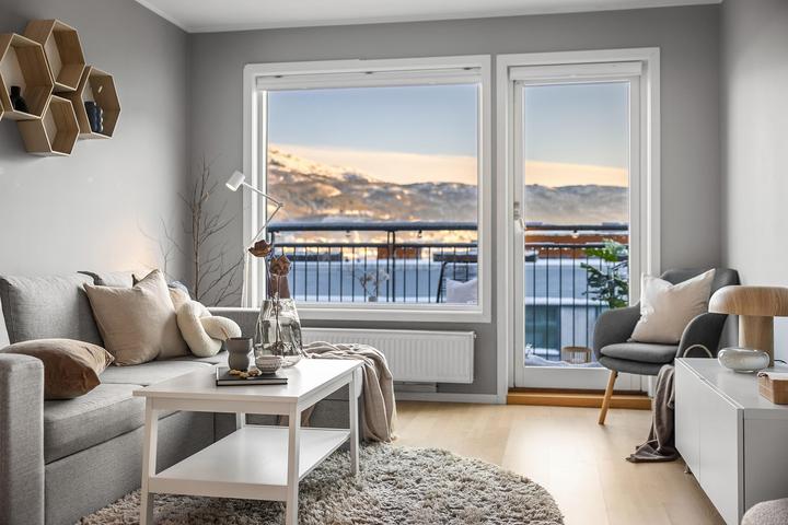 Kanifnath Archana Paradise Main Image 1