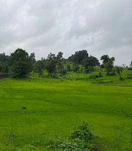 Image of 38115 Sq.ft Residential Plot / Land for sale in Murbad, Thane for Rs. 5250000