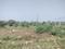 Sector 75 Plot View 2