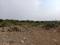 Sashte Plot View 1