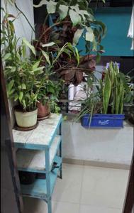 Balcony Image of 600 Sq.ft 1 BHK Apartment / Flat for rent in Mokarwadi Pune for Rs. 9000