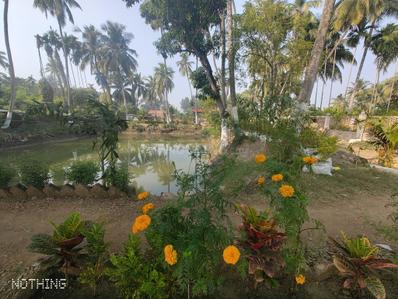 Image of 6120 Sq.ft 4 BHK Villa for sale in Burul, Kolkata for Rs. 16000000