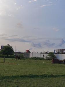 Image of 900 Sq.ft Residential Plot / Land for sale in Jhalwa, Allahabad for Rs. 3200000