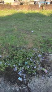 Image of 2250 Sq.ft Residential Plot / Land for sale in Sahastradhara Road, Dehradun for Rs. 17500000