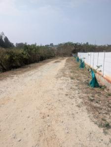 Image of 28024 Sq.ft Residential Plot / Land for sale in LG Rose Heritage Extension, Mitganahalli, Bengaluru for Rs. 119100000