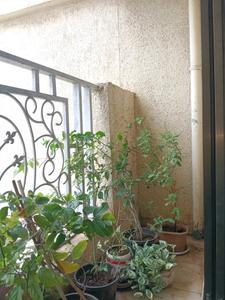 Living Room Image of 970 Sq.ft 2 BHK Apartment / Flat for sale in Cosmos Jewels, Thane West Thane for Rs. 12200000