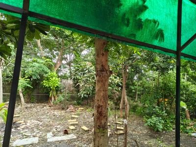 Image of 1450 Sq.ft 3 BHK Independent House for rent in Rau, Indore for Rs. 35000
