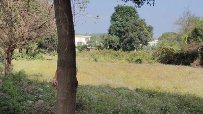 Image of 2900 Sq.ft Residential Plot / Land for sale in Pondha, Dehradun for Rs. 78000000