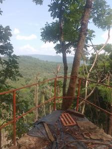 Image of 31798 Sq.ft Residential Plot / Land for sale in Killannur, Thrissur for Rs. 5500000