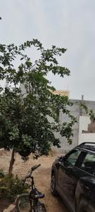 Image of 1590 Sq.ft Residential Plot / Land for sale in Nijampur Malhaur, Lucknow for Rs. 6500000