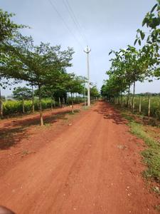 Servant Room Image of 7000 Sq.ft 2 BHK Farm House for sale in Kumhari Bhilai for Rs. 3160000