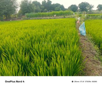Image of 4840 Sq.ft Residential Plot / Land for sale in Moinabad, Hyderabad for Rs. 36000000
