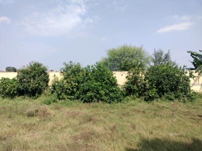 Image of 1440 Sq.ft Residential Plot / Land for sale in Soha Neal City, Sector 98, Faridabad for Rs. 20000000