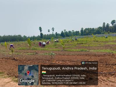Image of 16200 Sq.ft 2 BHK Farm House for rent in Devarapalli, Visakhapatnam for Rs. 15000
