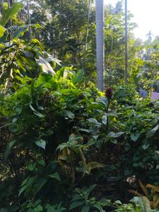 Image of 1082 Sq.ft Residential Plot / Land for sale in Uluberia, Howrah for Rs. 700000