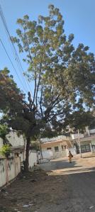 Image of 2000 Sq.ft 3 BHK Independent House for sale in KT Nagar, Nagpur for Rs. 15000000