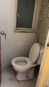 Bathroom Image of 525 Sq.ft 1 BHK Apartment / Flat for rent in Pigeon Spring Meadows, Noida Extension Greater Noida for Rs. 15000