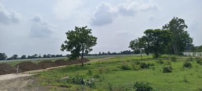 Image of 5000 Sq.ft 1 RK Farm House for sale in Neelbad, Bhopal for Rs. 300000