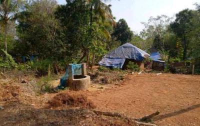 Image of 3263 Sq.ft Residential Plot / Land for sale in Ottapalam, Palakkad for Rs. 2000000