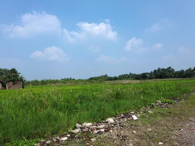 Image of 1440 Sq.ft Residential Plot / Land for sale in Natures Paradise, Joka, Kolkata for Rs. 399998
