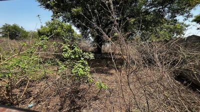 Image of 349 Sq.ft Residential Plot / Land for sale in Gachibowli, Hyderabad for Rs. 52500000