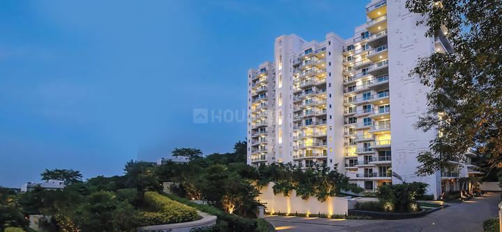 DLF Kings Court Main Image 1